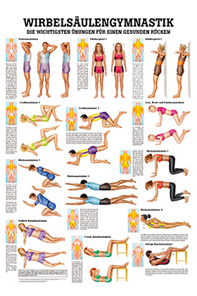 anat. Lehrtafel: Wirbelsulengymnastik 70 x 100 cm, Papier, Rdiger Anatomie, medishop.de