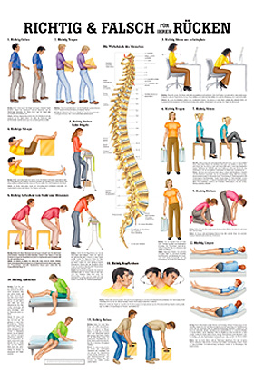 anat. Lehrtafel: Richtig & Falsch für Ihren Rücken 70 x 100 cm, Papier, Rüdiger Anatomie, medishop.de