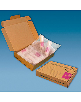 Post-Transportverpackung fr diagnostische Proben (50 Stck.), Sarstedt, medishop.de