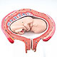 Fetus, 4. Monat (Bauchlage)