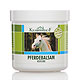 KruterhoF Pferdebalsam 250 ml