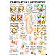 anat. Lehrtafel: Craniosacrale Osteopathie 70 x 100 cm, laminiert